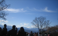 高尾山の頂上から富士山を望む