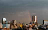都会の空に出現した虹